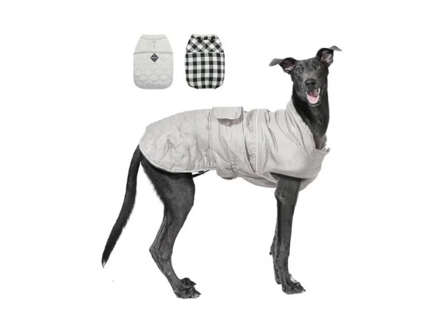 Pawz Road Dog Winter Coat With 5 Layers Warm… Coupon