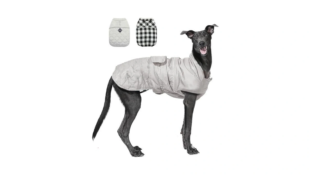 Amazon coupon: Pawz Road Dog Winter Coat With 5 Layers
