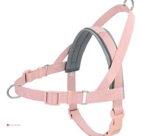 Wisedog Dog Harnesses Promo Code Lksb…