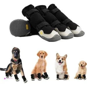 Moob Dog Boots Code 2hzmor8m