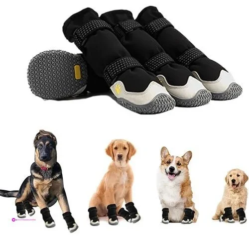 Moob Dog Boots Code 2hzmor8m