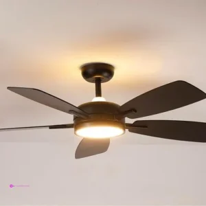 Roomratv Ceiling Fans Clip Coupon