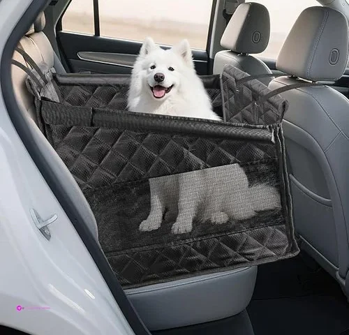 Reg Dog Car Seat Code Ssnpz3at