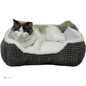 Pet Beds Code 92q38tq8