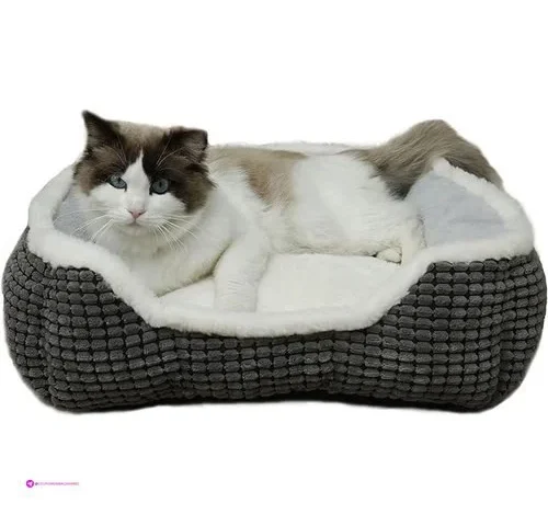 Pet Beds Code 92q38tq8