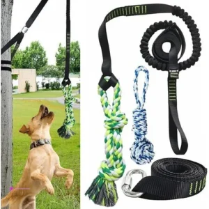Now Tuahoo Dog Tug Toys Clip