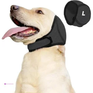Fenyotech Calming Hoodies Clip Coupon
