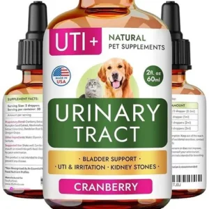 Dog And Cat Uti Treatments Clip
