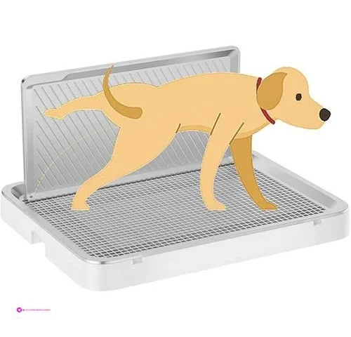 Indoor Dog Potty Trays Code Kolapanda