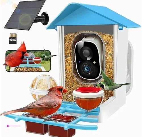 Birds Solar Cameras Code Jr5e3xcr