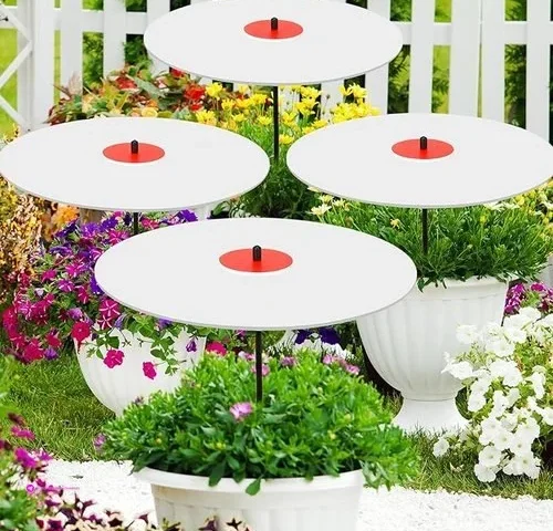 Abbylike Plant Umbrellas Use Code Raj…