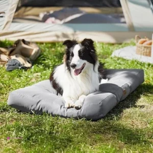 Reg Bedsure Dog Beds Large Sized