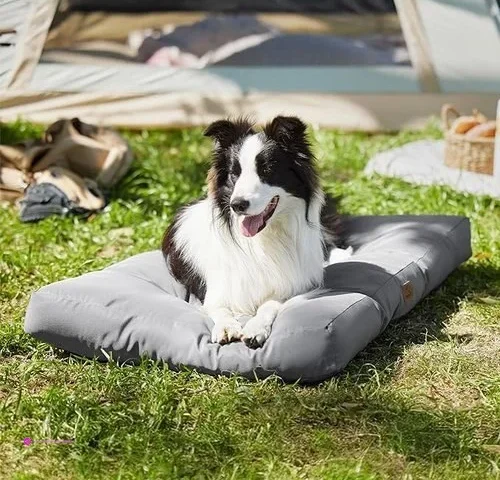 Reg Bedsure Dog Beds Large Sized