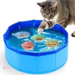 Baborui Cat Pool Toys Code Etmh5val