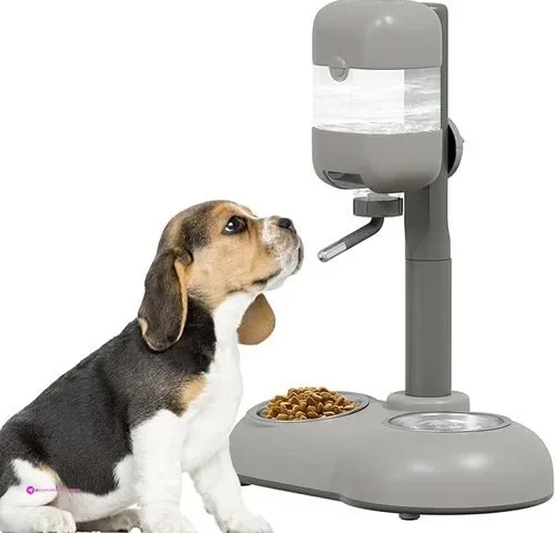 Reg Mitocapy Pet Food Bowls Clip