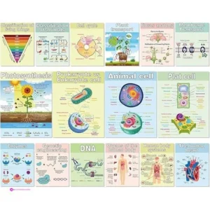 Pajean Biology Posters Code 5q3xm8wh