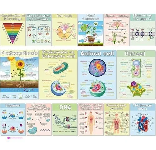 Pajean Biology Posters Code 5q3xm8wh