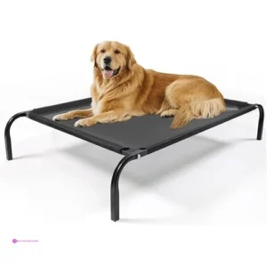 Dog Raised Beds Promo Code Ktx3itzm
