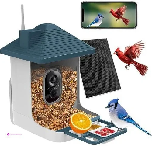 Smart Bird Feeders Code Gezgjvfg