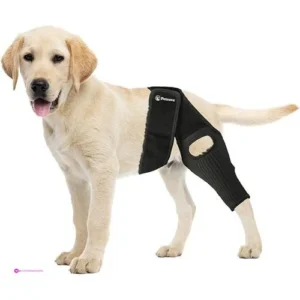 Petcove Dog Knee Braces Clip Coupon