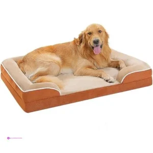 Pawz Orthopedic Dog Beds Clip Coupon