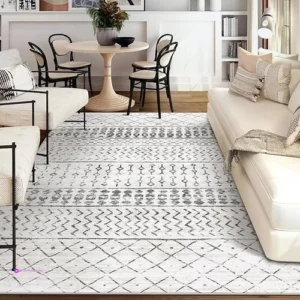 Geruimo Area Rugs Clip Coupon