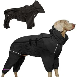 Dog Raincoats Clip Coupon