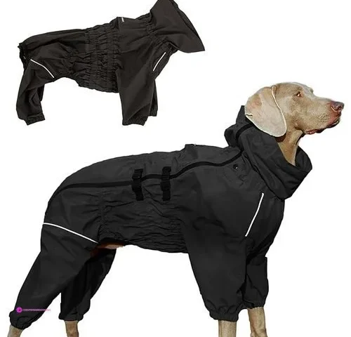Dog Raincoats Clip Coupon
