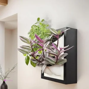Wood Wall Planters Code 9m6e7zwn