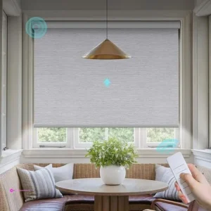Canisteo Motorized Blinds Clip Coupon