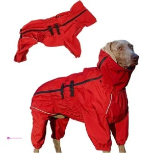 Dog Raincoats Clip Coupon