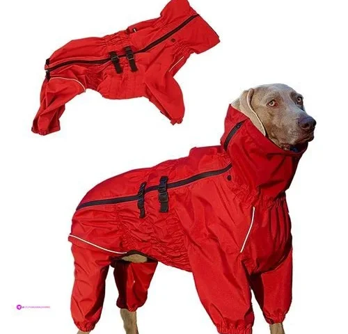 Dog Raincoats Clip Coupon