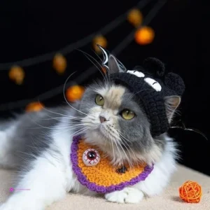 Mitocapy Halloween Pet Coss Promo Cod…