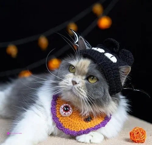 Mitocapy Halloween Pet Coss Promo Cod…