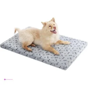 Fancy Dog Beds Promo Code Uqfmf69q
