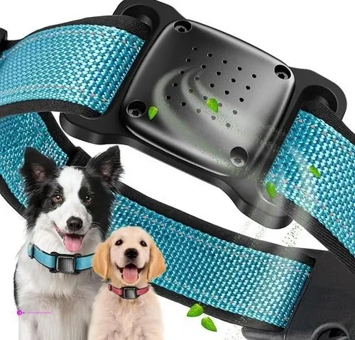 Psrat Calming Diffusers Code 77rblviy