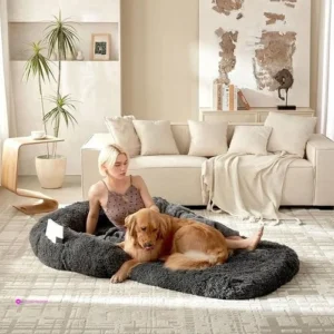 Orthopedic Pet Sofas Code K5p45of9