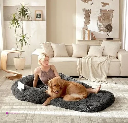 Orthopedic Pet Sofas Code K5p45of9