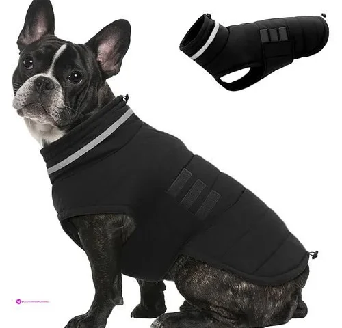 Mklhgty Dog Coats Off Clip Coupon