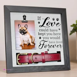 Laziesther Pet Memorials Promo Code C…