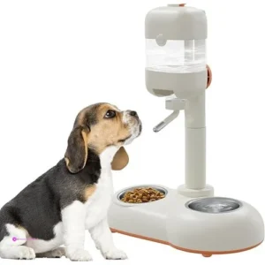 Mitocapy Pet Food Bowls Code 3o6tbu2c