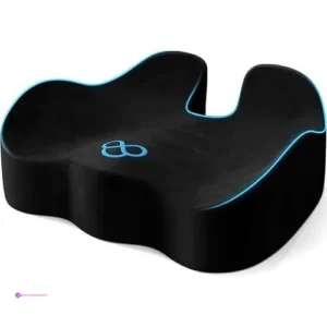 Reg Seat Cushion With Carry Handle