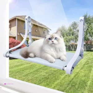 Large Pet Window Perches Code Kfonwlw…