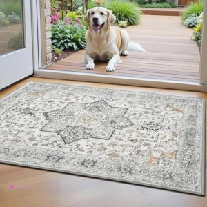 Entryway Rug Code 76criad9