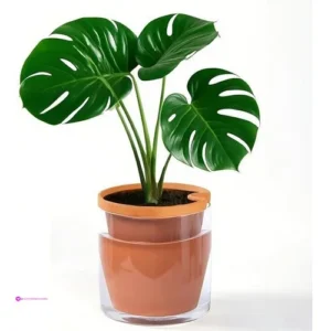 Vcqieo Self Watering Planters Code Yf…