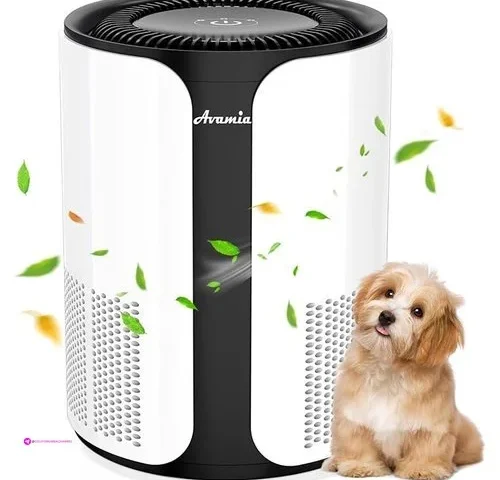 Hepa Air Purifier Off Code 38shrgjq