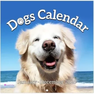 Wall Calendars Use Code Fdqm9ej9