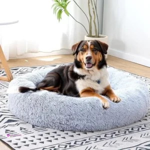 Loveclaw Dog Beds Clip Coupon