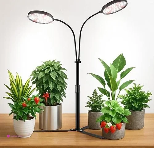 Yeoleh Grow Lights Clip Coupon
