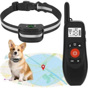 Reg 139 Lotyp Dog Training Collars